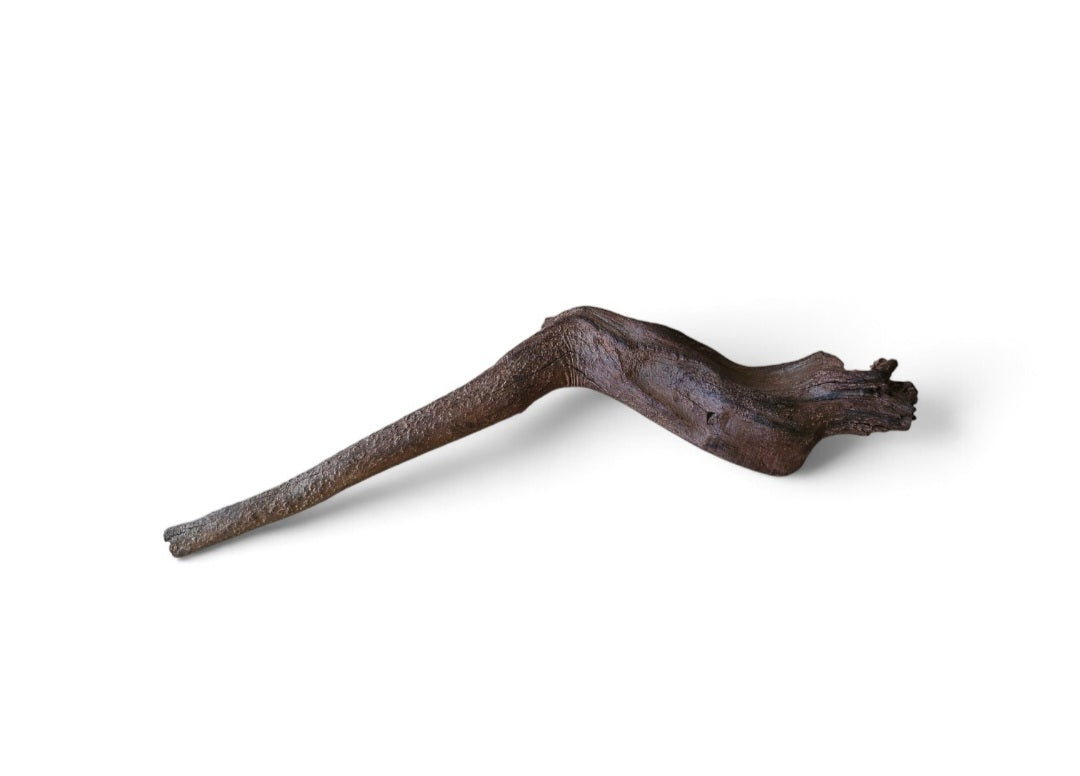 Driftwood / Flusswurzel Nr.217