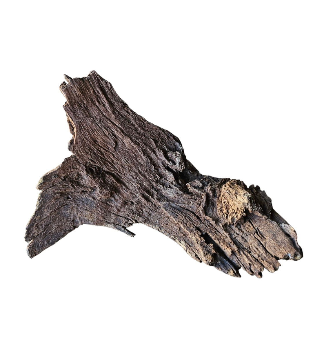 Driftwood / Flusswurzel Nr. 252