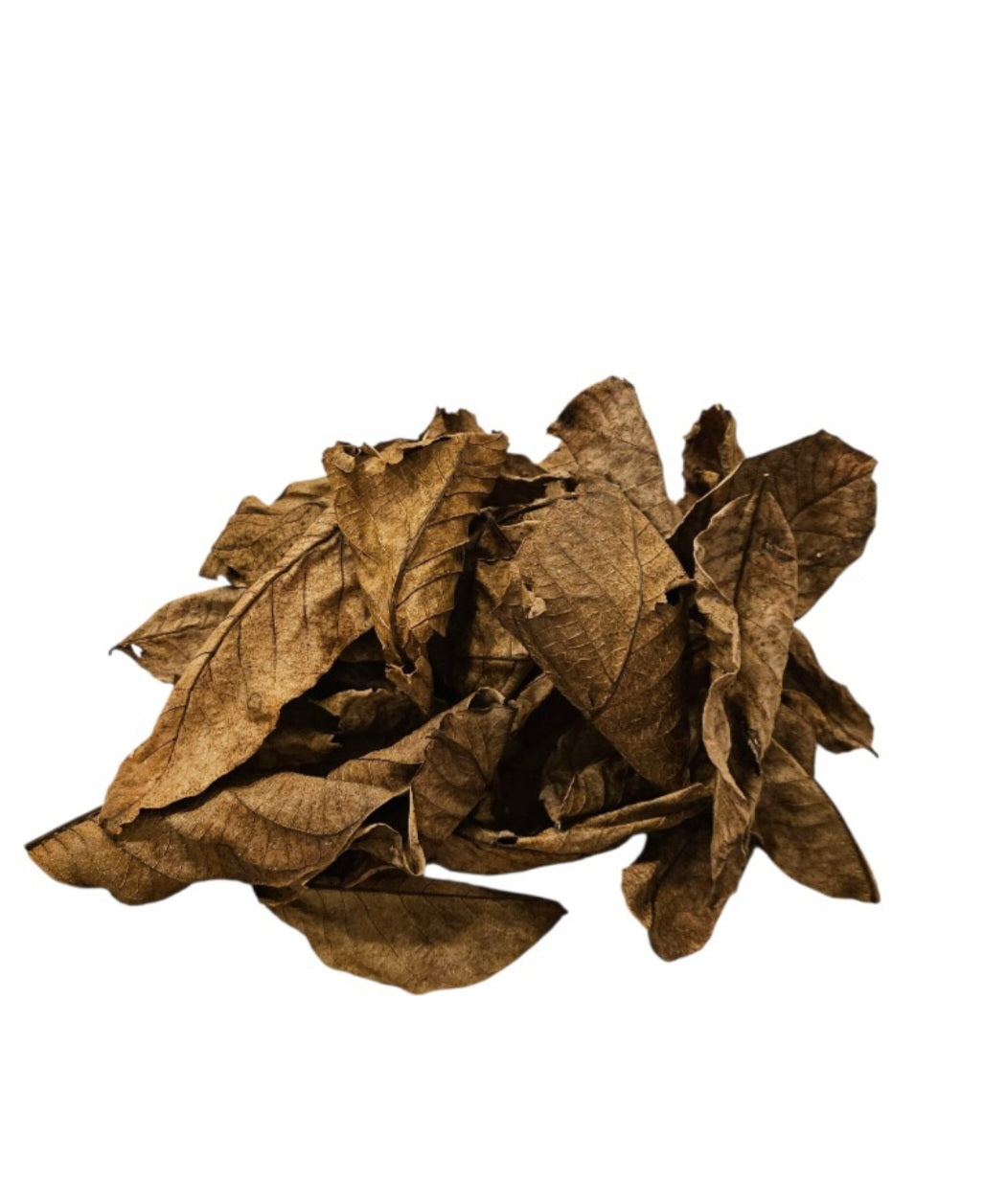 Walnussblätter braun 25 Stück