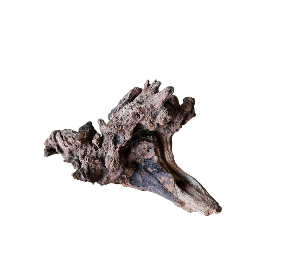 Coral Sinker Wood Nr.555