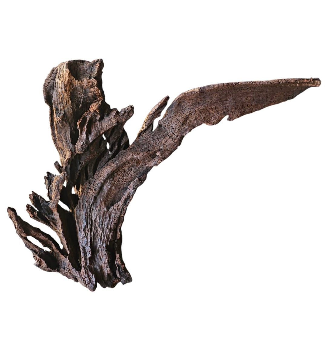 Driftwood / Flusswurzel Nr. 479