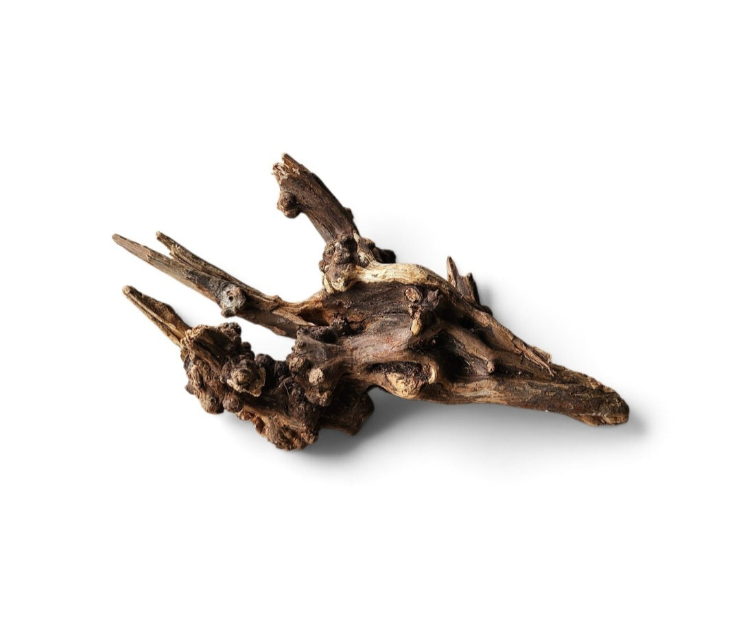Coral Sinker Wood Nr. 136