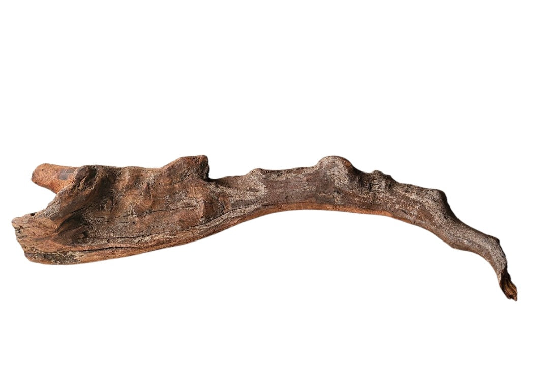 Driftwood / Flusswurzel Nr.51