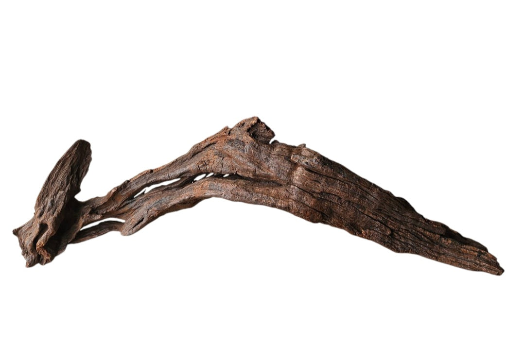 Driftwood / Flusswurzel Nr. 270