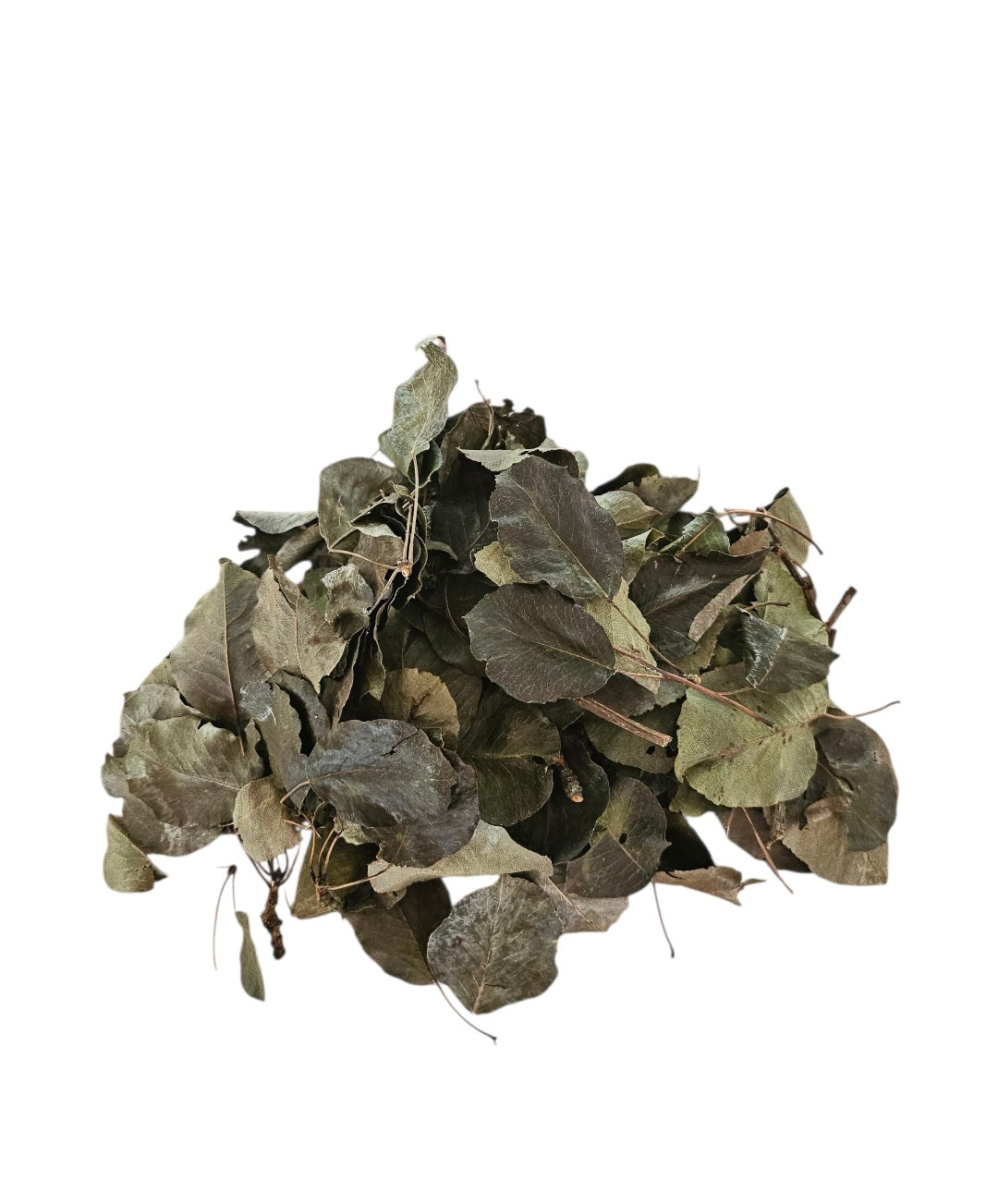 Birnenblätter grün 40 Stück