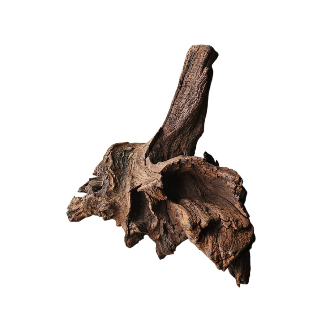 Driftwood / Flusswurzel Nr.213