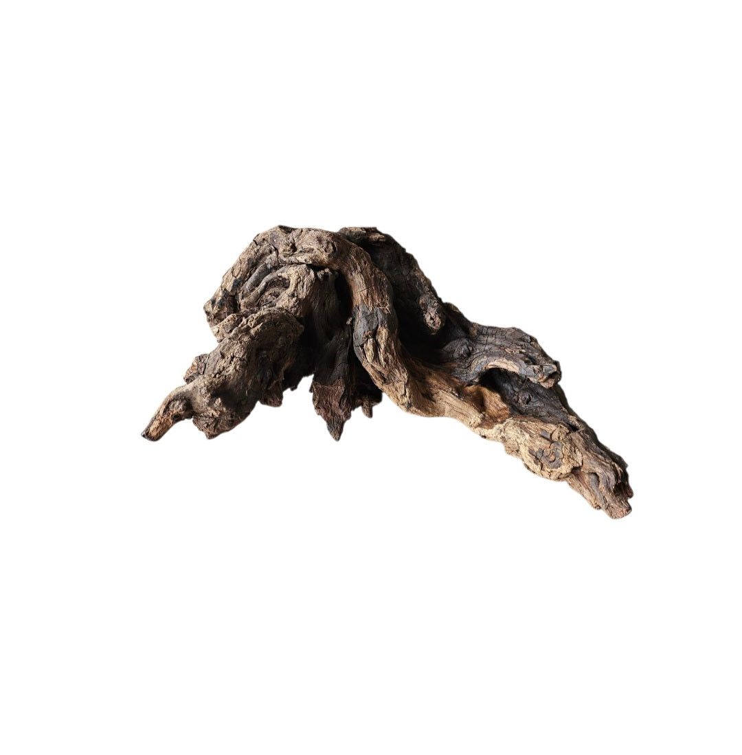 Coral Sinker Wood Nr.654