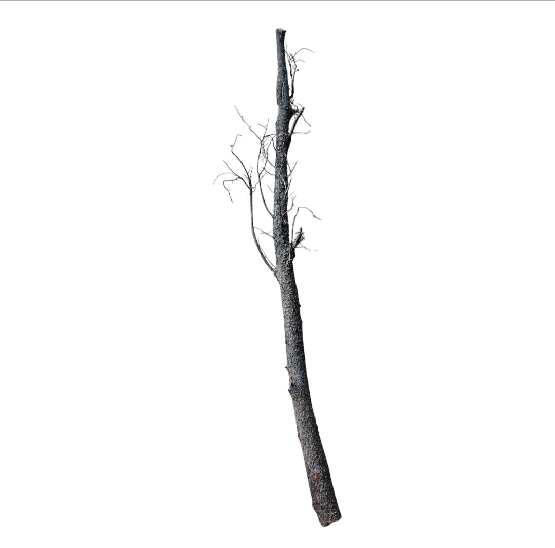 Shadow Wood Nr.802
