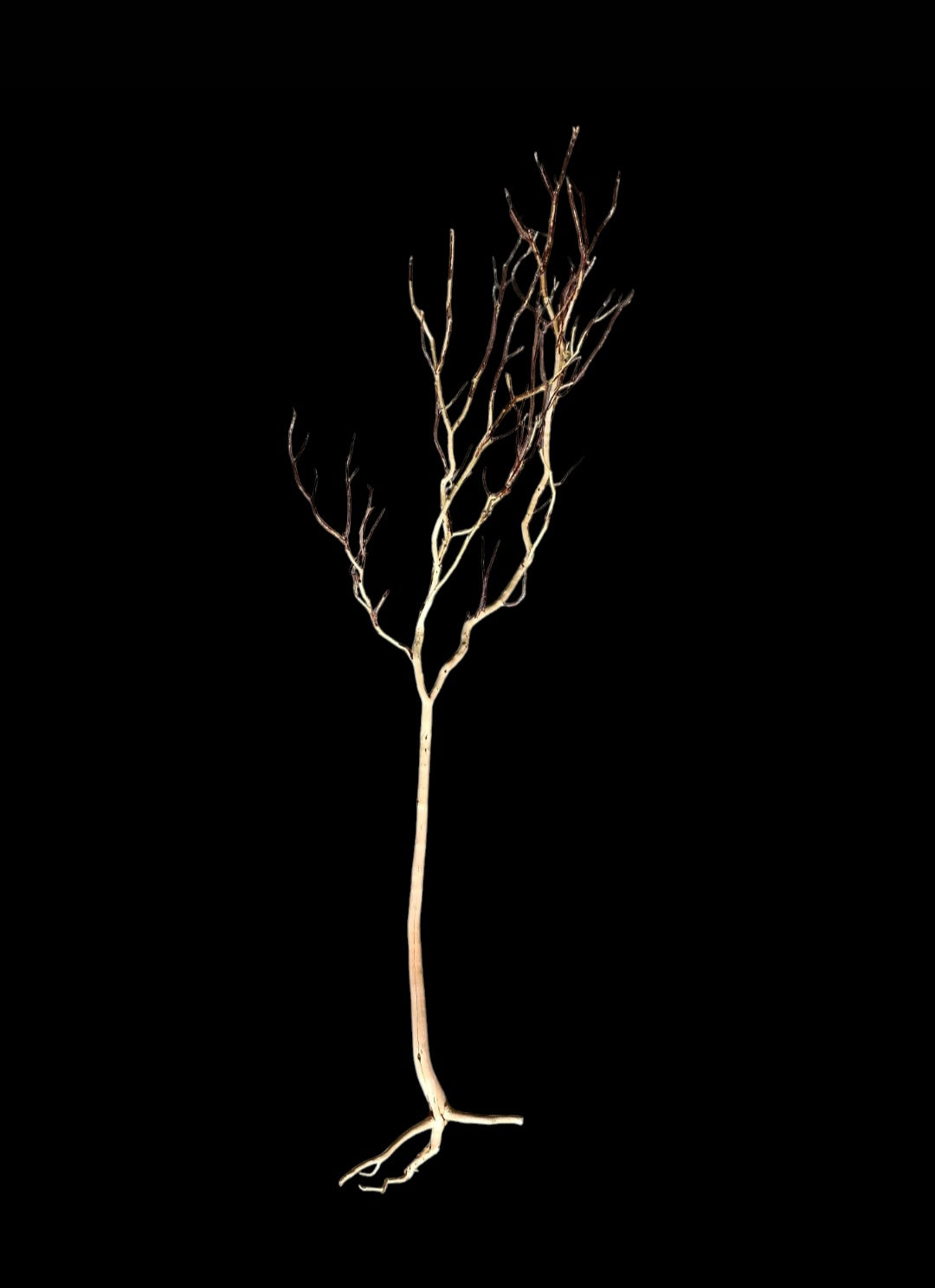 Ghost Wood XL Nr.854