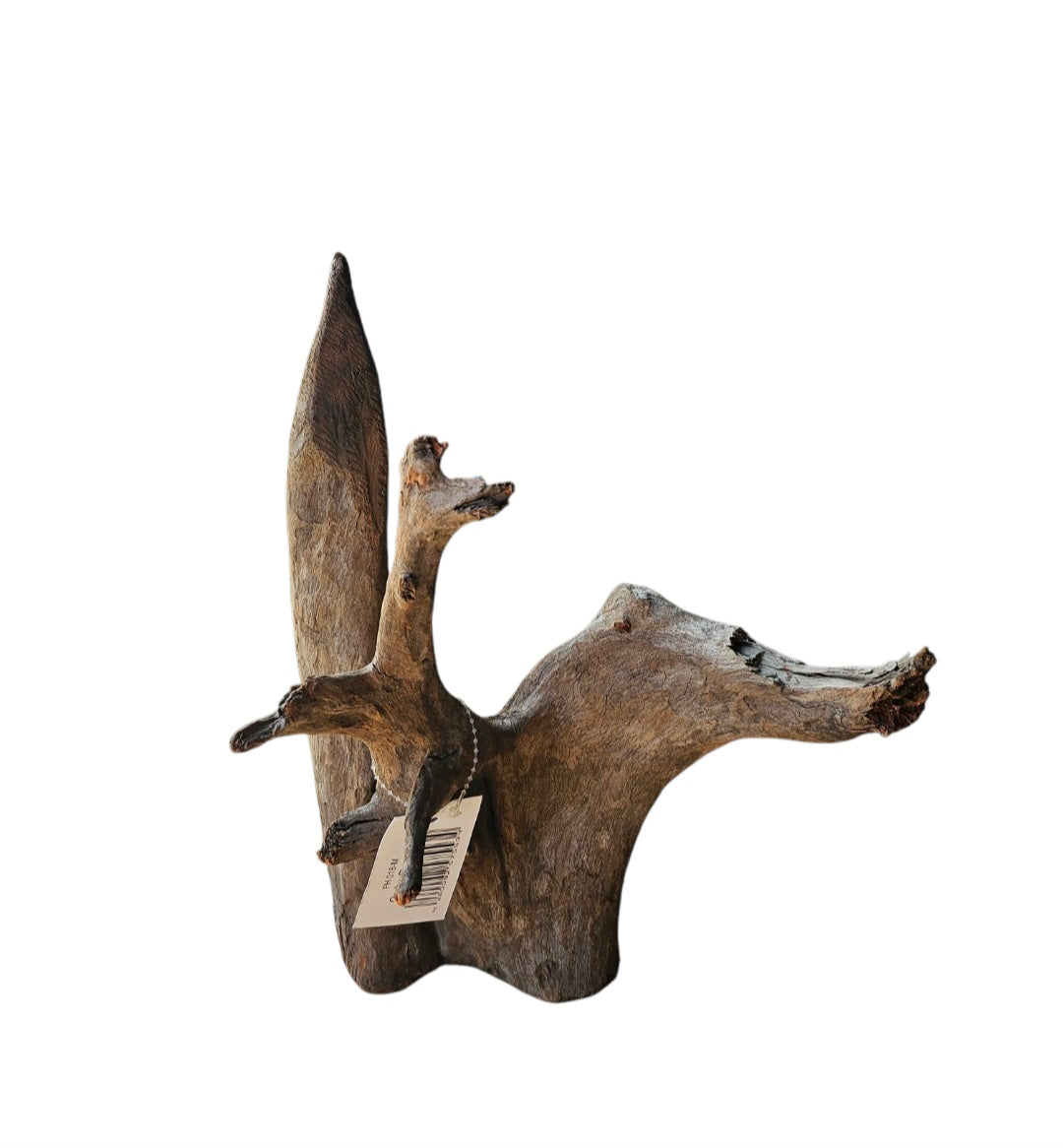 Corbo Wurzel medium Nr.916