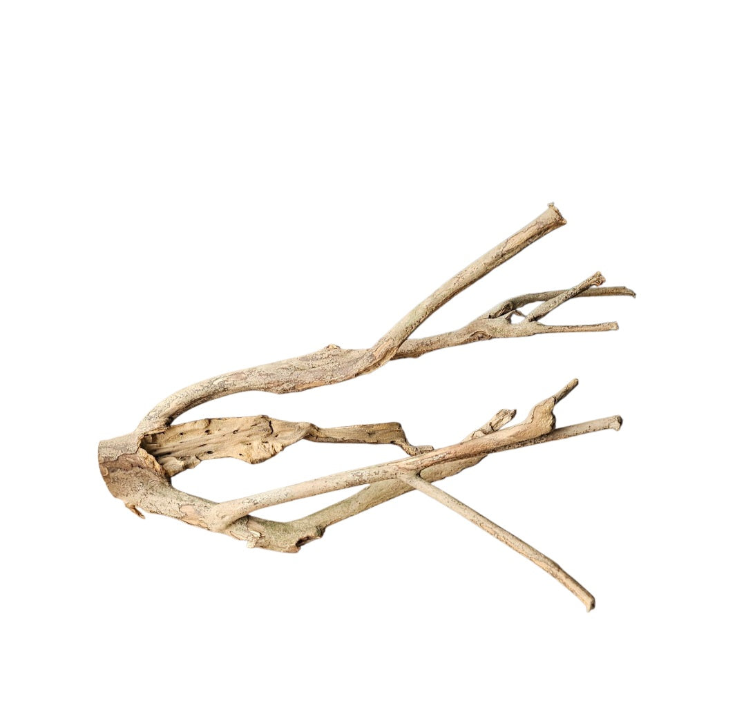 Talawa Holz/Wood 30-45cm Nr.676