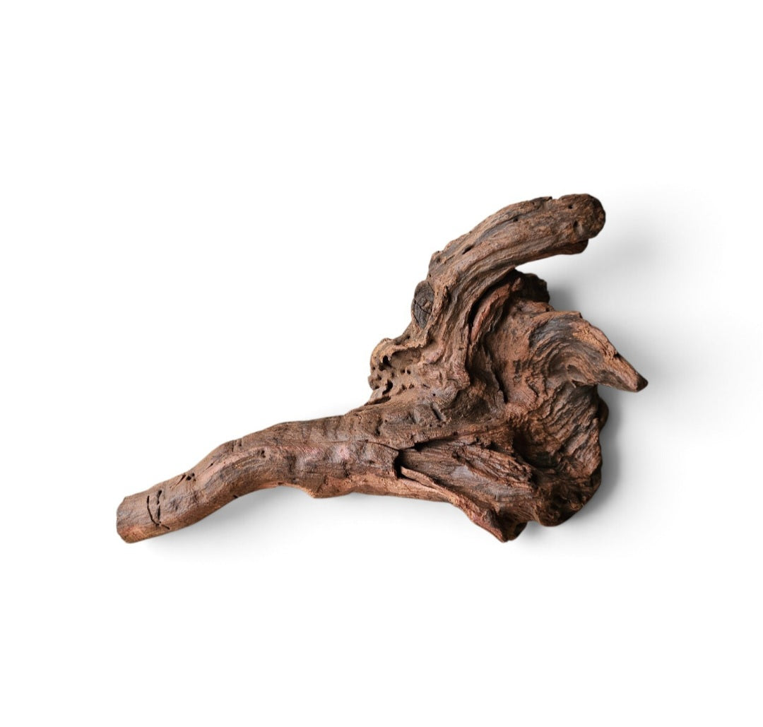 Driftwood / Flusswurzel Nr. 125