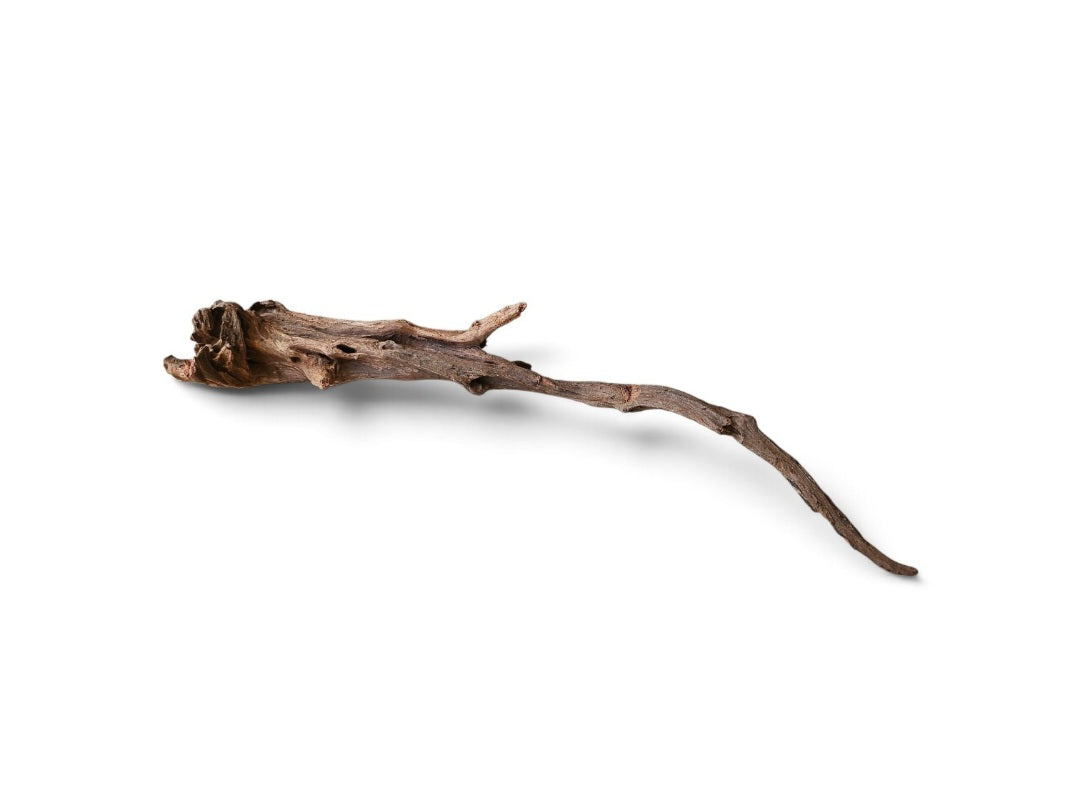 Coral Sinker Wood Nr.652