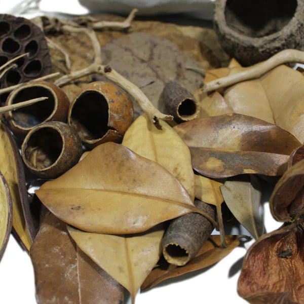 Das Bild zeigt eine bunte Mischung aus verschiedenen natürlichen Materialien, die für die Gestaltung von Aquarien geeignet sind.