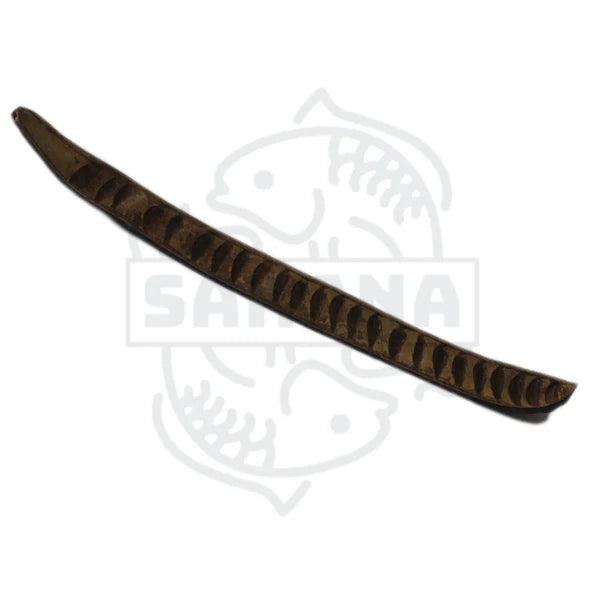 Das Bild zeigt ein Stück Schale, das in der Aquaristik als Dekoration verwendet wird