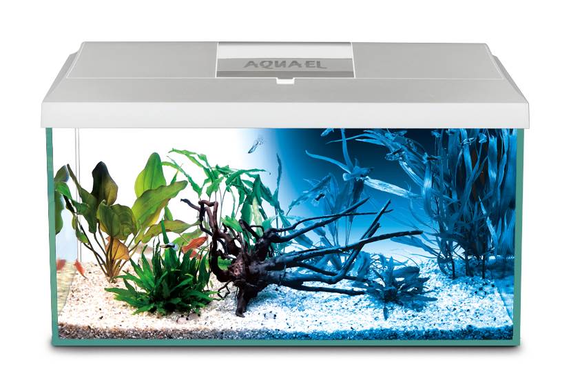 Aquael Aquarienset LEDDY Day&Night 40 s