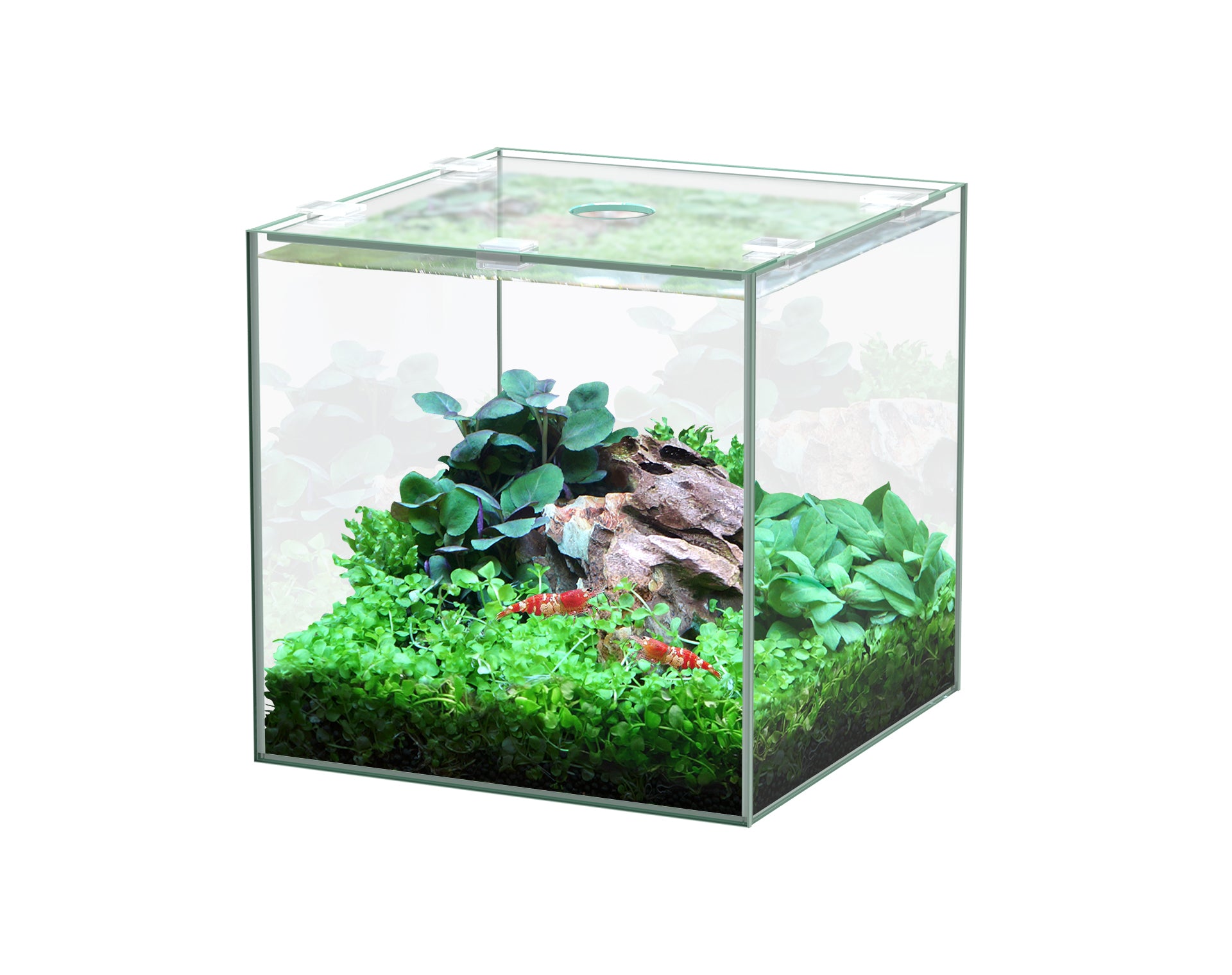 Aquatlantis Kubus Nano Glasbecken (verschiedene Größen)