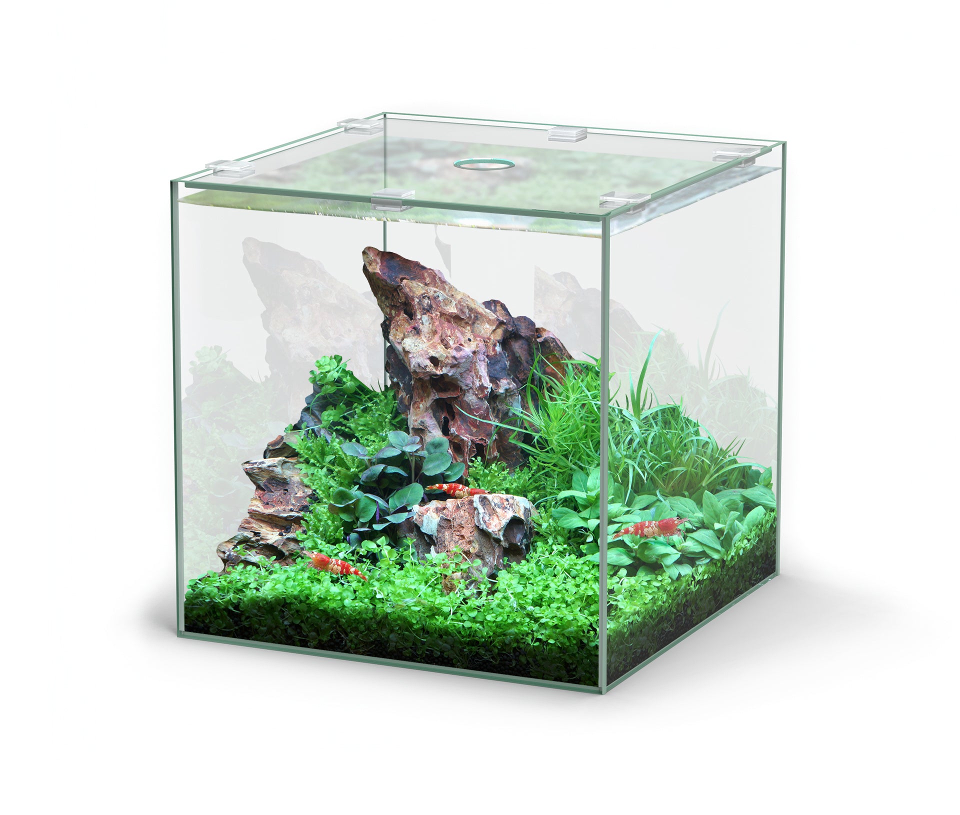 Aquatlantis Kubus Nano Glasbecken (verschiedene Größen)