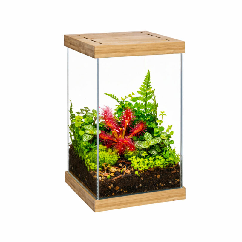 Aquael Selva Mini Terrarium