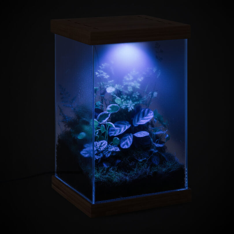 Aquael Selva Mini Terrarium