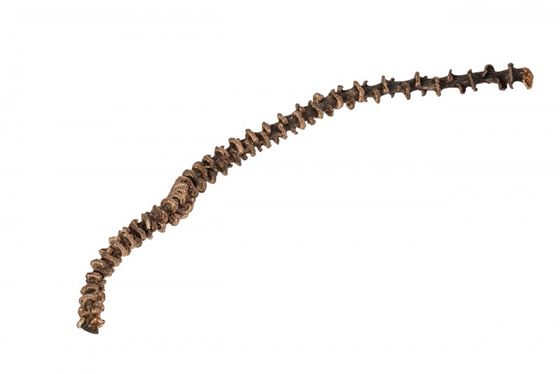 Bananen Stiel natur ca. 25-35cm