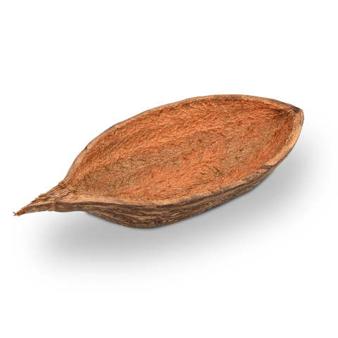 Baobab-Frucht, halbiert, ca. 30x12cm