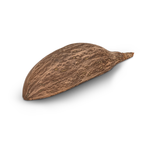Baobab-Frucht, halbiert, ca. 30x12cm