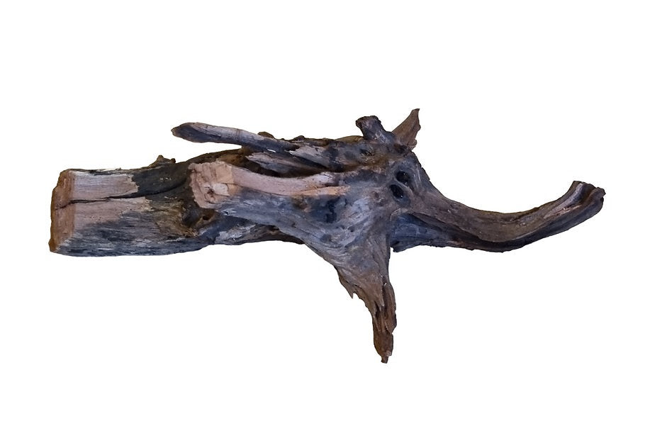 Driftwood / Flusswurzel   Nr. 258