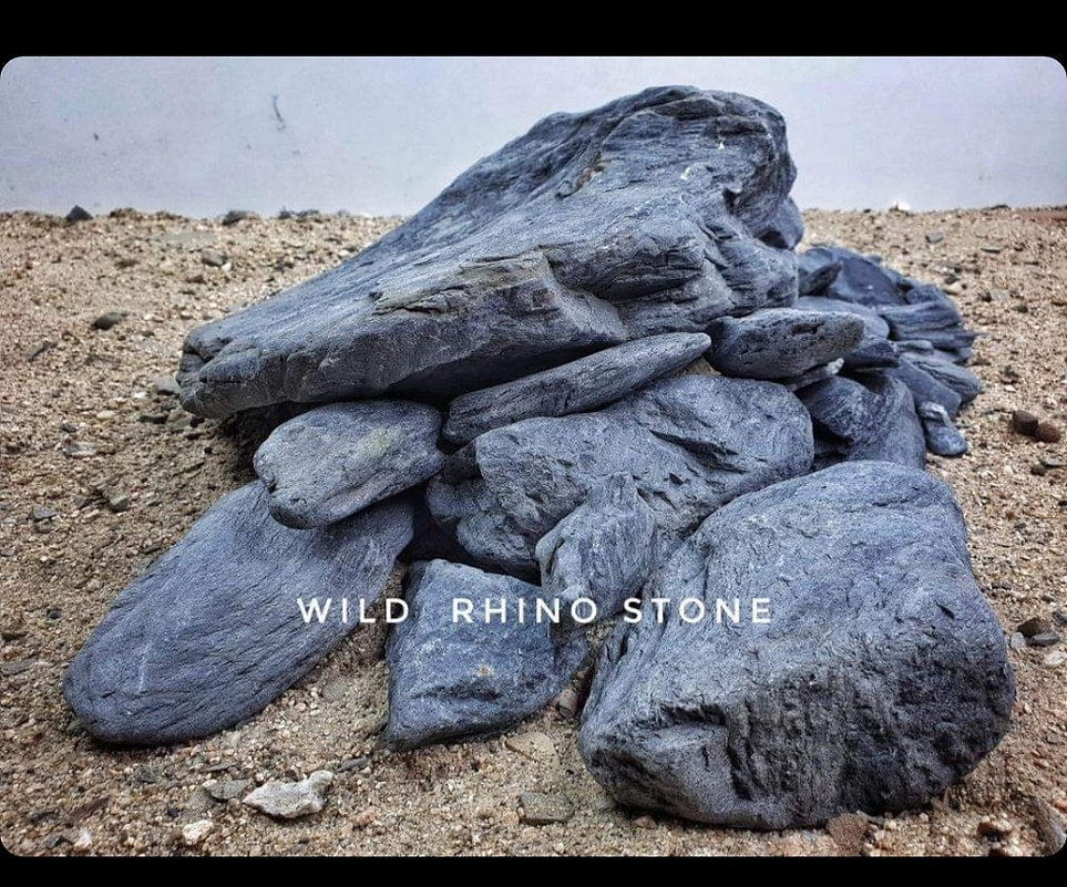Wild Rhino Steine / Stones  ( Stück - verschiedene Größen )