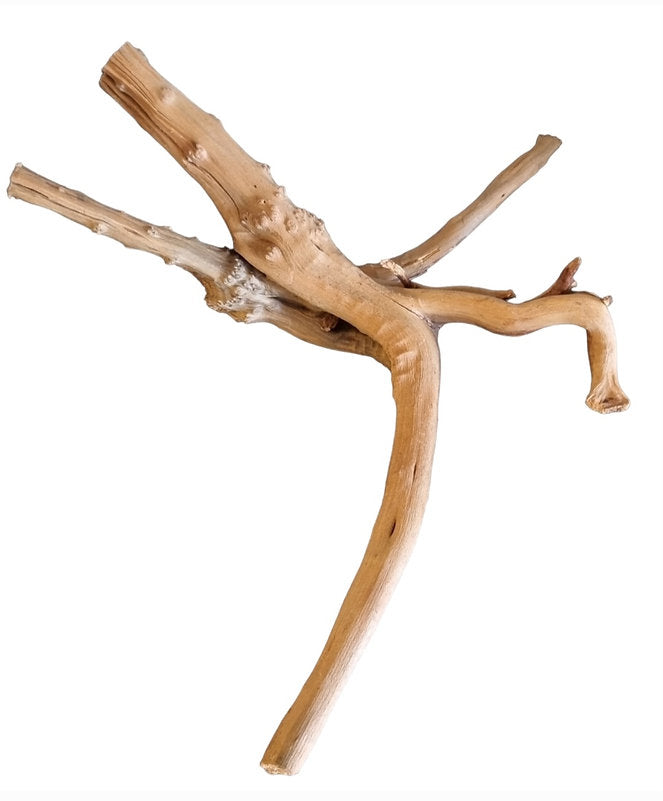 WIO Tree Trunk Wood  Wurzel 349