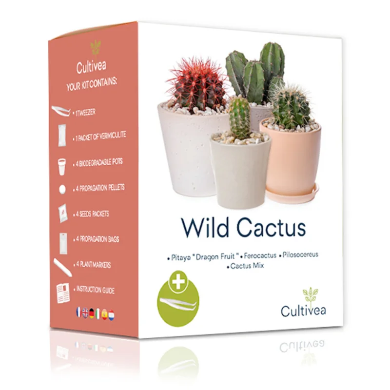 Wild Cactus - Ready-to-Grow Kit