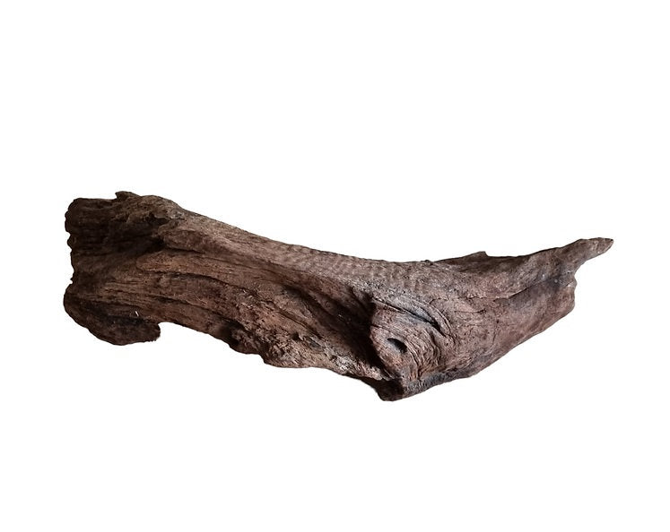 Driftwood / Flusswurzel   Nr. 273
