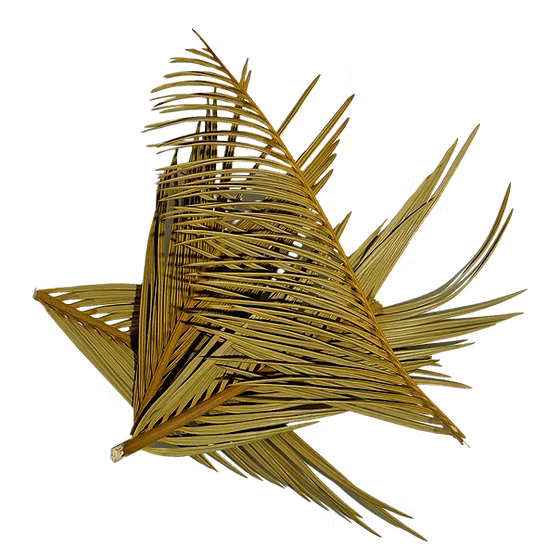 WIO Cyca Leaves / Blätter