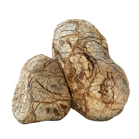 WIO Zombie Boulder Stone BOX