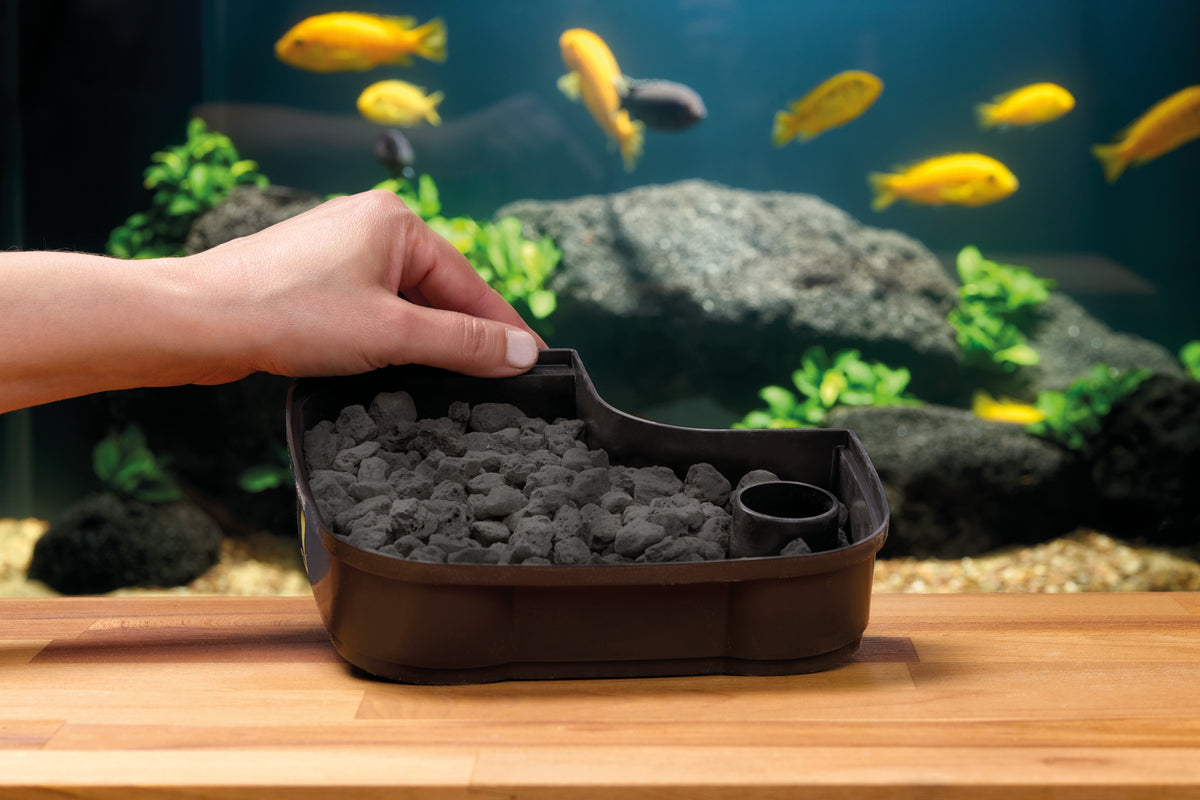 Oase BioLava 1 l