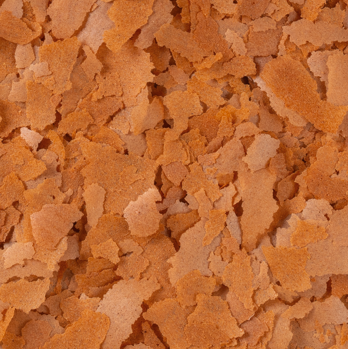 Tropical Insect Menu Colour Flakes