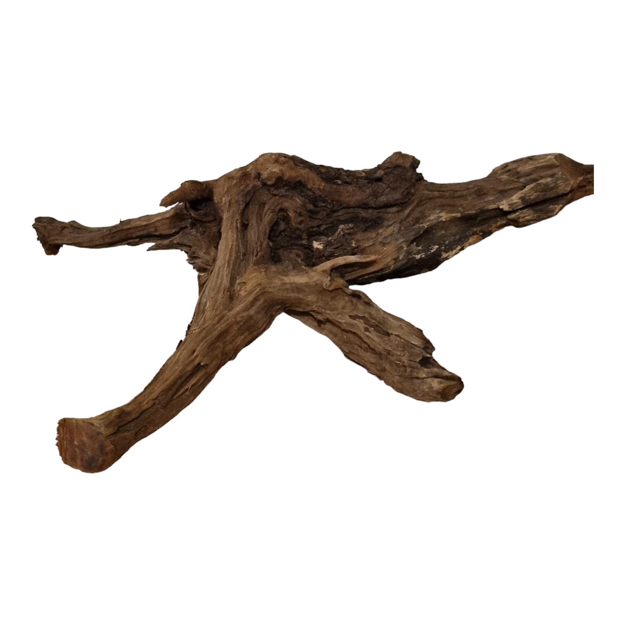 Driftwood / Flusswurzel   Nr.212