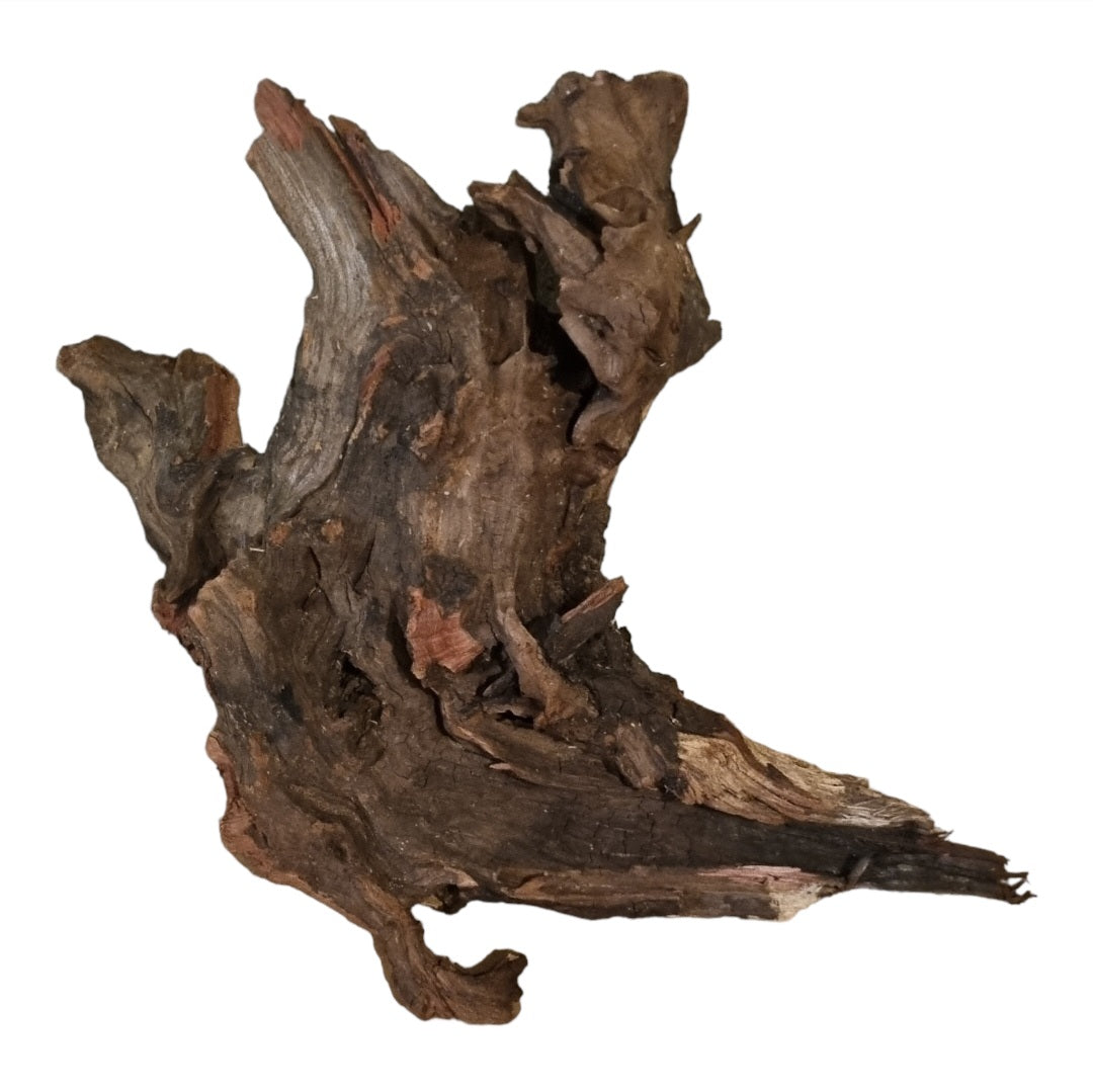 Driftwood / Flusswurzel   Nr.335