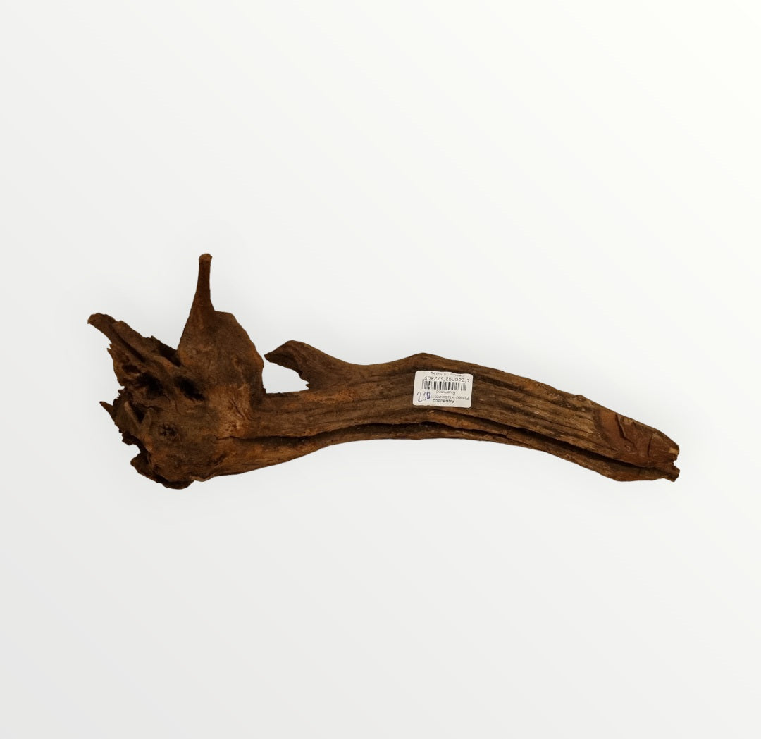 Driftwood / Flusswurzel   Nr. 250