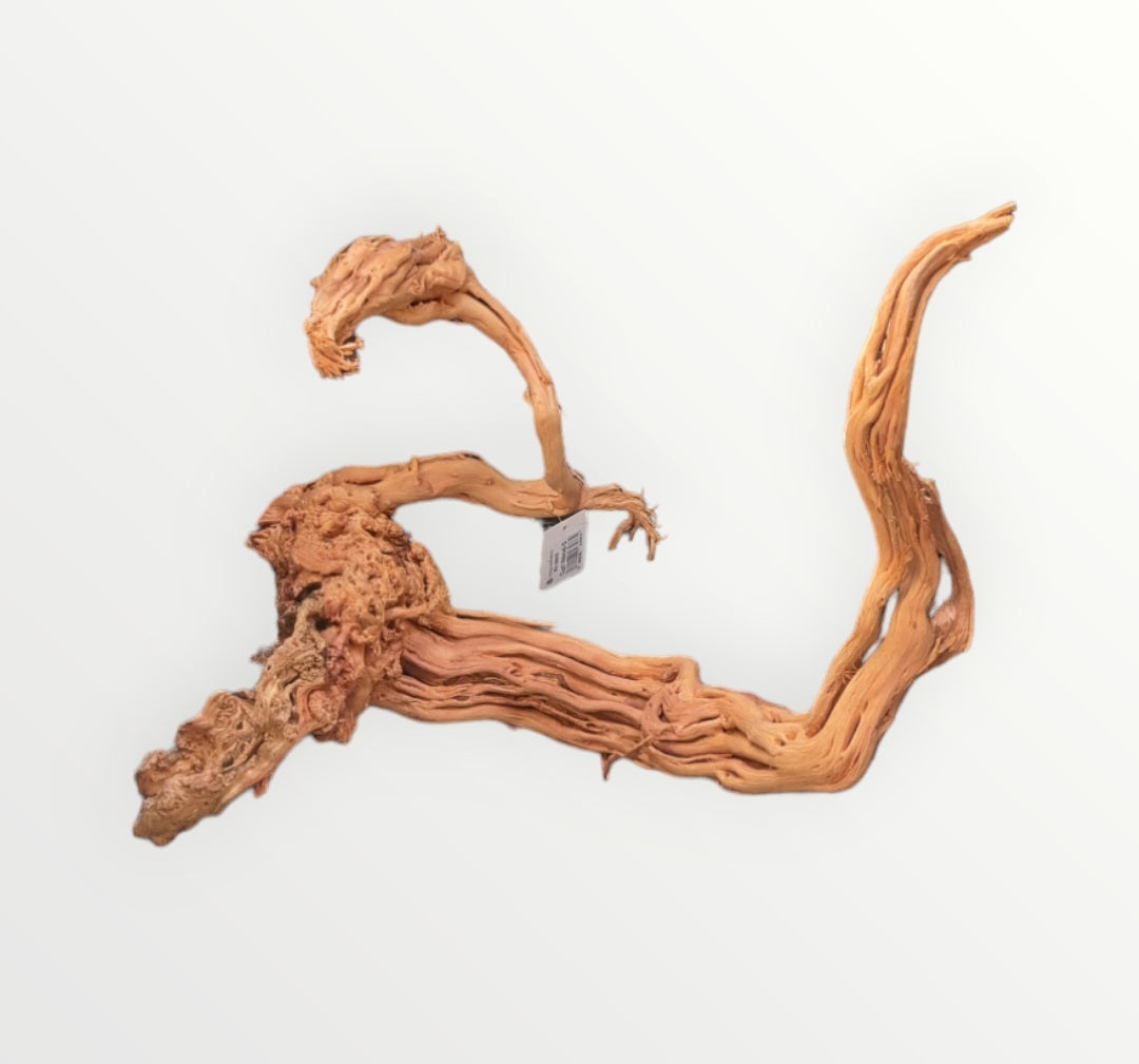 Dragon Wood / Curl Wood  Wurzel 316