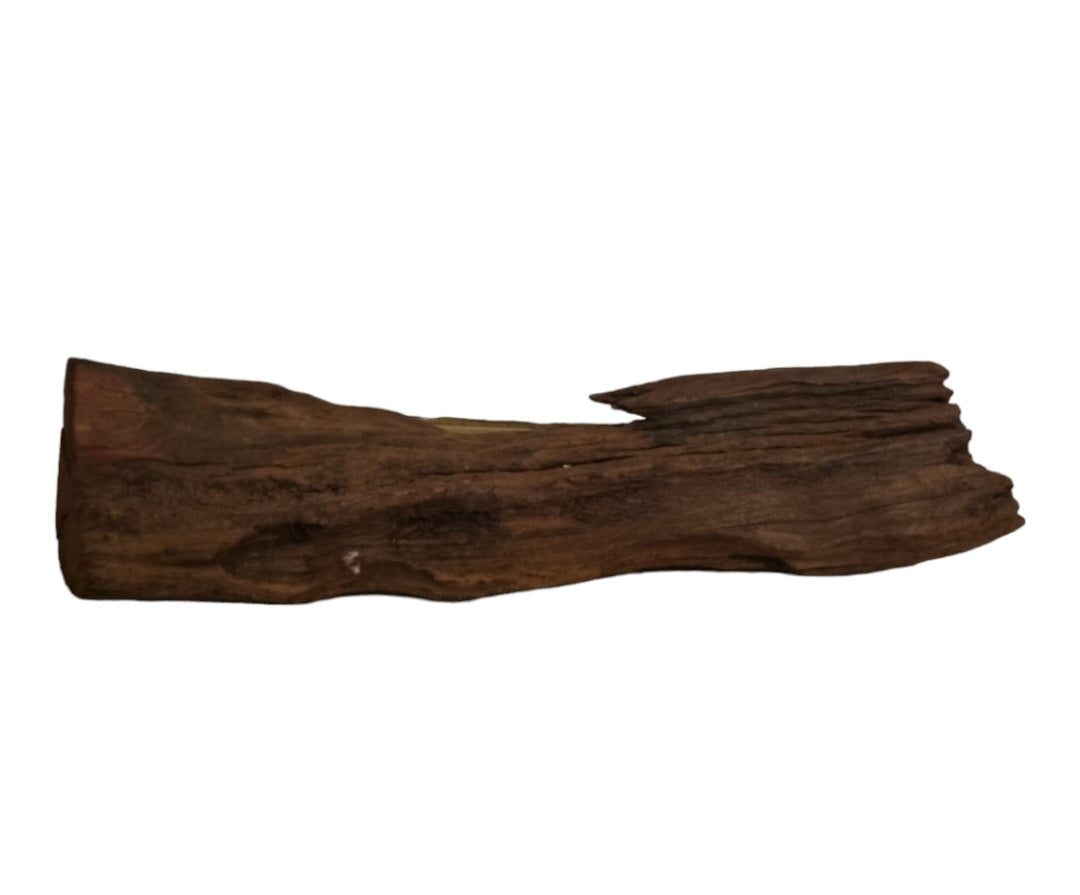 Driftwood / Flusswurzel   Nr. 491