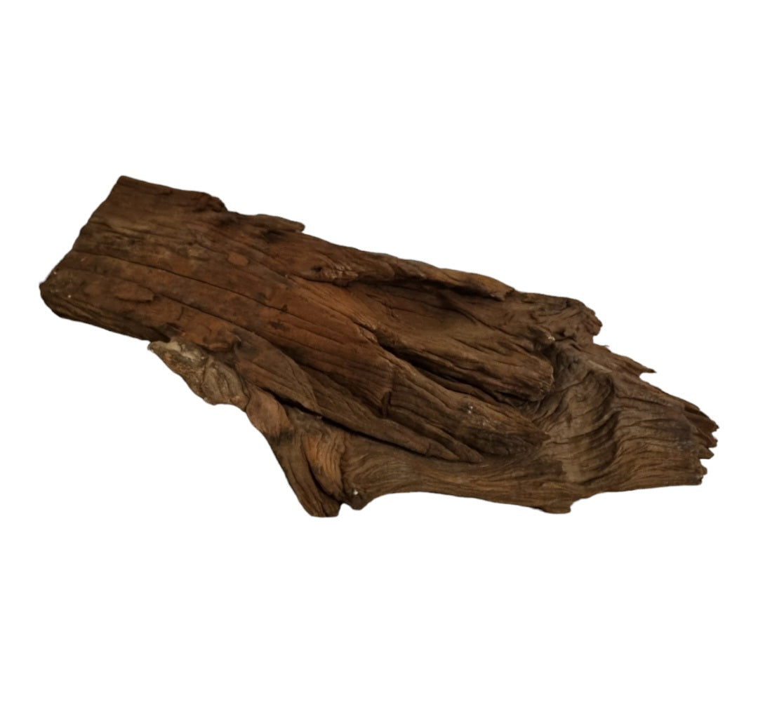 Driftwood / Flusswurzel   Nr. 484