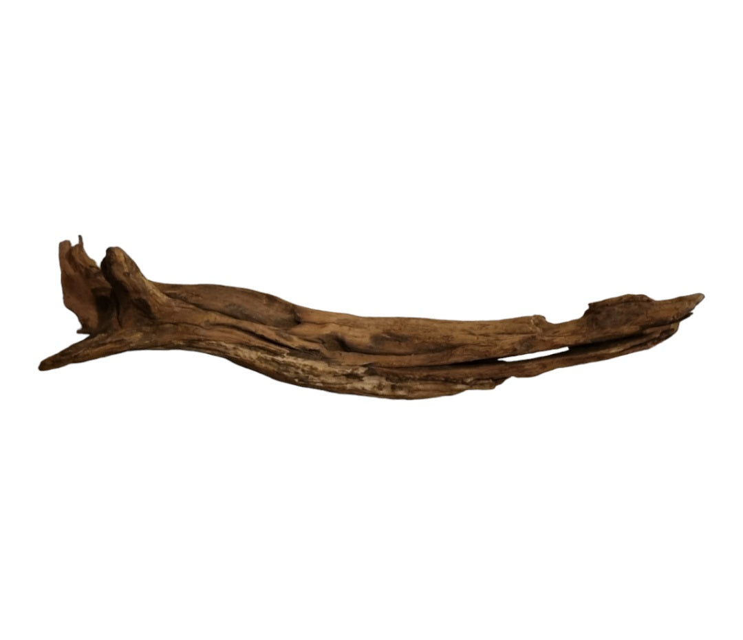 Driftwood / Flusswurzel   Nr. 479