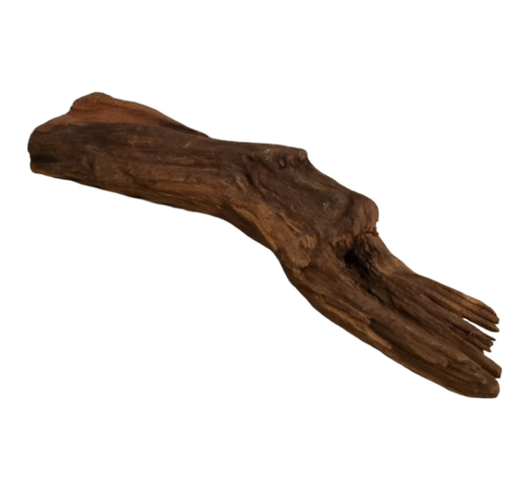 Driftwood / Flusswurzel   Nr. 478