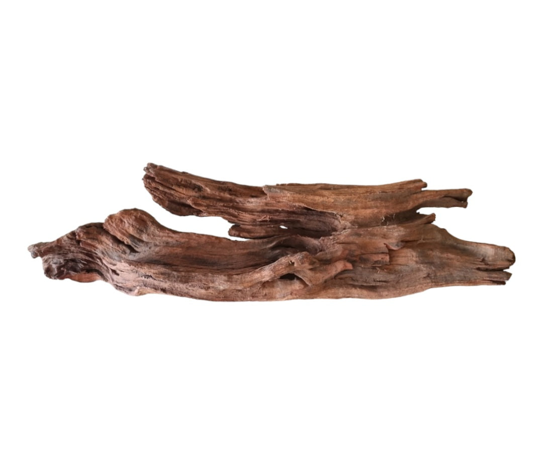 Driftwood / Flusswurzel   Nr.176