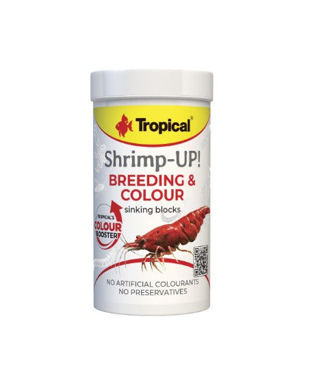 Tropical Shrimp-Up! Breeding & Colour