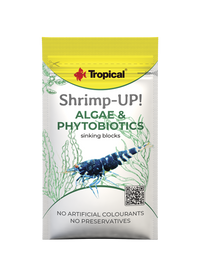Tropical Shrimp-Up! Algae & Phytobiotics
