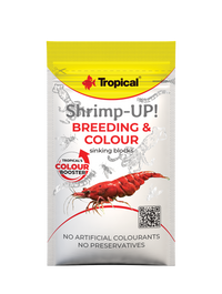Tropical Shrimp-Up! Breeding & Colour