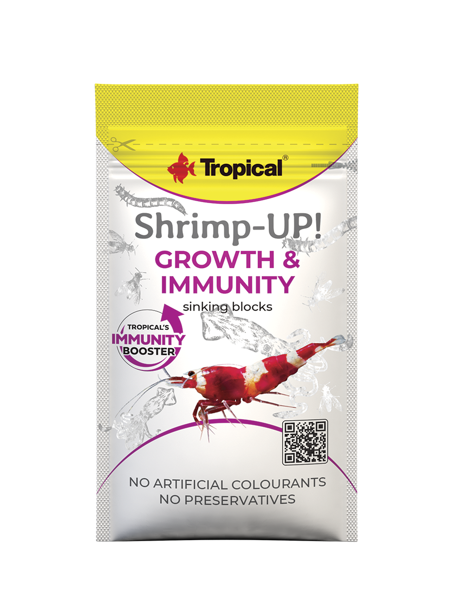 Tropical Shrimp-Up! Growth & Immunity