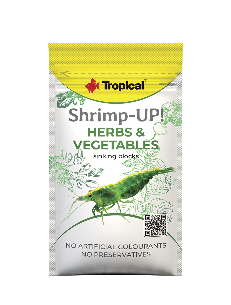 Tropical Shrimp-Up! Herbs & Vegetables